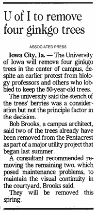 4 ginko trees to be removed